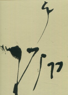  p Degottex Signes et metasignes 1954 1967 p p Calle Robert17 p 
