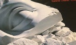 Poirier   Salpêtrière 1983