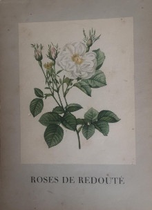  p Roses de Redoute p p Hausmann Manfred p 