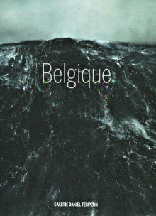Belgique Galerie Daniel Templon 2015 Cauteren Philippe van