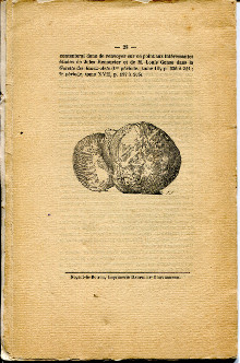 Quelques monuments de la sculpture funeraire des XVe et XVIe siecles Extraits des proces verbaux de la Societe nationale des antiquaires de France Courajod Louis